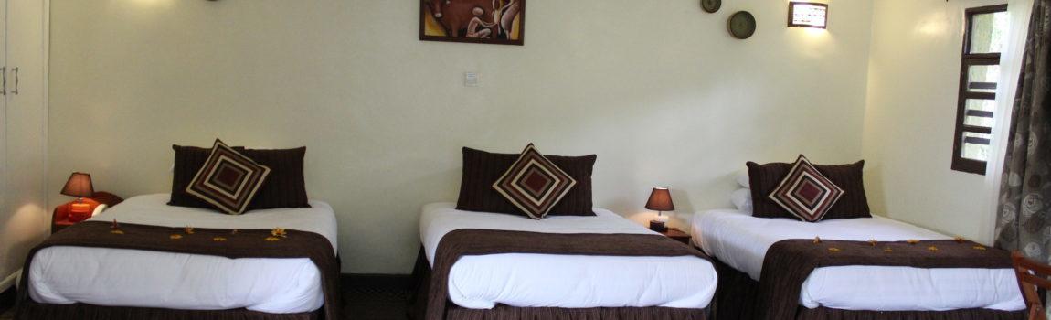 Davinci Gorilla Lodge Kinigi Екстериор снимка